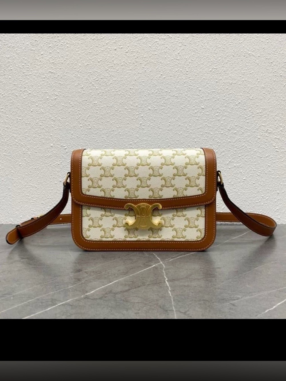 Triomphe Canvas Shoulder Bag in Cream and Brown